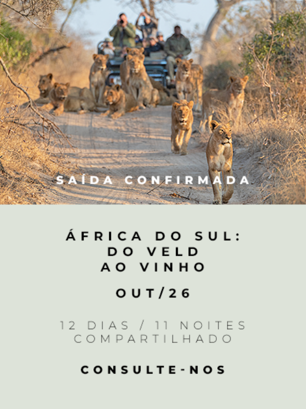 África do Sul
