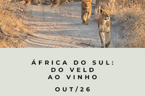 África do Sul