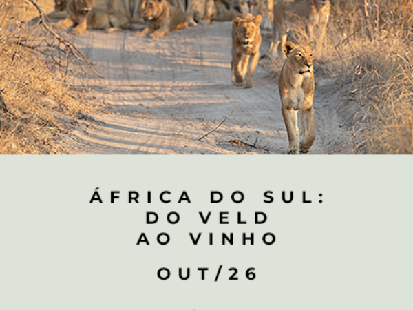 África do Sul