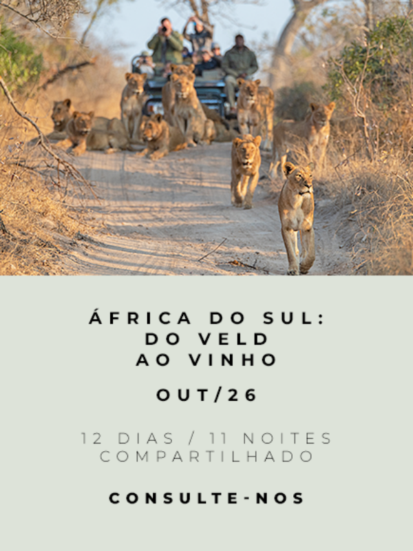 África do Sul