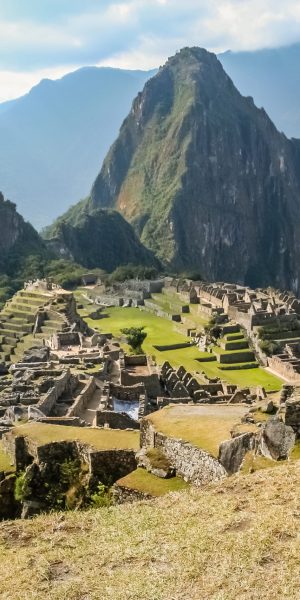 Llama in front of ancient inca town of Machu Picchu
